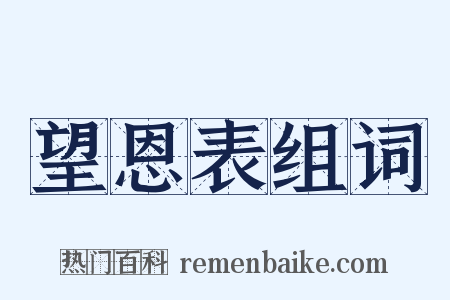 望恩表组词是什么意思的图片